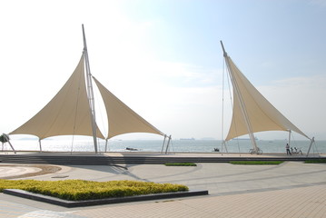 乒乓球国家队的陪练都是什么水平？