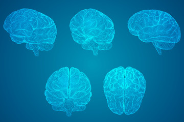 历届女单冠军一览表