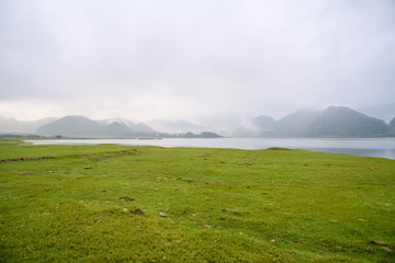 历届女单冠军一览表