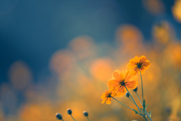 乒乓球国家队的陪练都是什么水平？