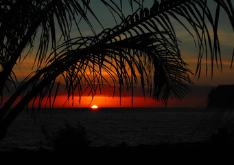 乒乓球运动现状和发展趋势