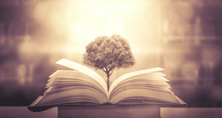 形容乒乓球运动员风采的词语