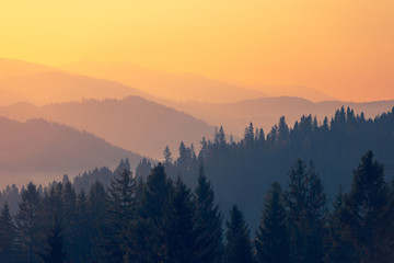 乒乓球运动现状和发展趋势