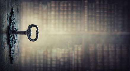 乒乓球国家队的陪练都是什么水平？