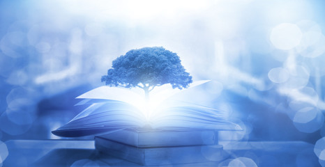 中国乒乓球运动员排行榜前十名