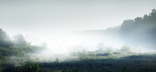 乒乓球正手平击发球的要点是什么？