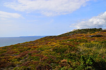 乒乓球正手平击发球的要点是什么？