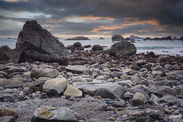 乒乓球运动现状和发展趋势