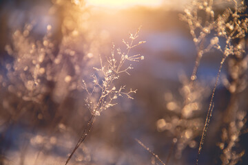 形容乒乓球运动员风采的词语