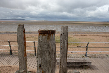 形容乒乓球运动员风采的词语