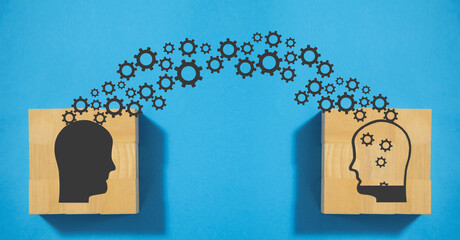 历届女单冠军一览表