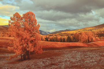 张怡宁和邓亚萍谁更厉害？