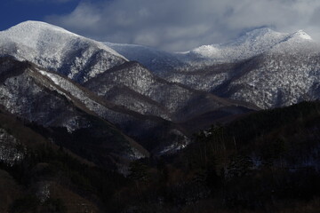 乒乓球运动现状和发展趋势