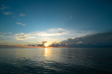 形容乒乓球运动员风采的词语