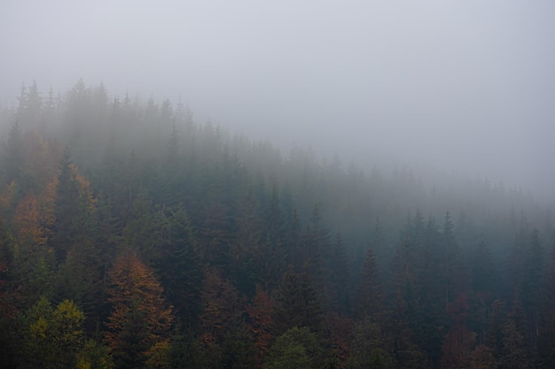 张怡宁和邓亚萍谁更厉害？