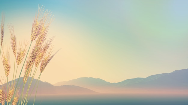 乒乓球发球技巧