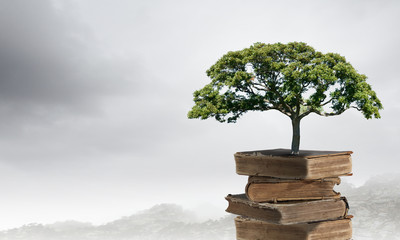 乒乓球运动现状和发展趋势