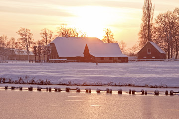 形容乒乓球运动员风采的词语