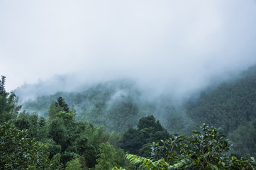 中国乒乓球运动员排行榜前十名